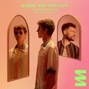 Where Are You Now - Lost Frequencies / Calum Scott
