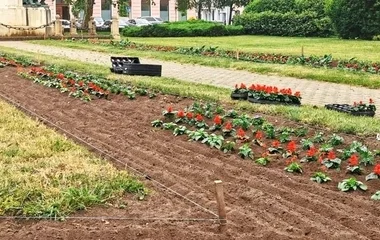 Elkezdődött Nyíregyháza közterületein a virágok ültetése